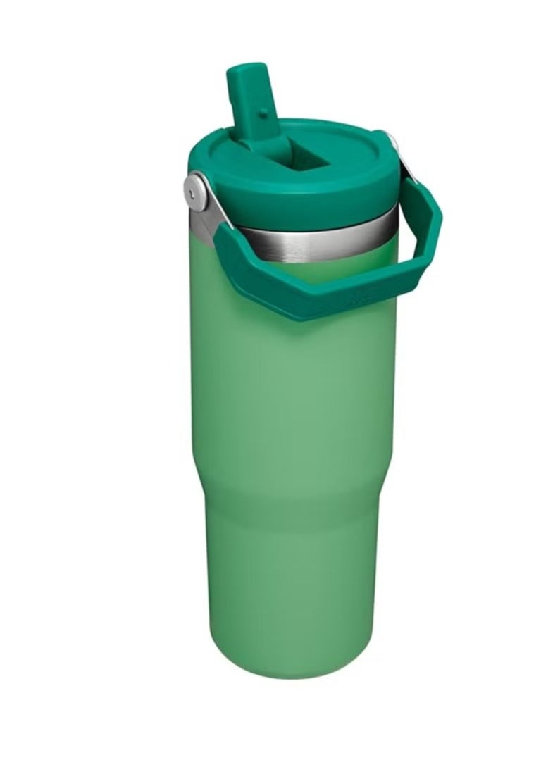 Stainless Steel Vacuum Insulated Tumbler with Lid and Straw for Water, Iced Tea or Coffee, Smoothie and More, 30 oz