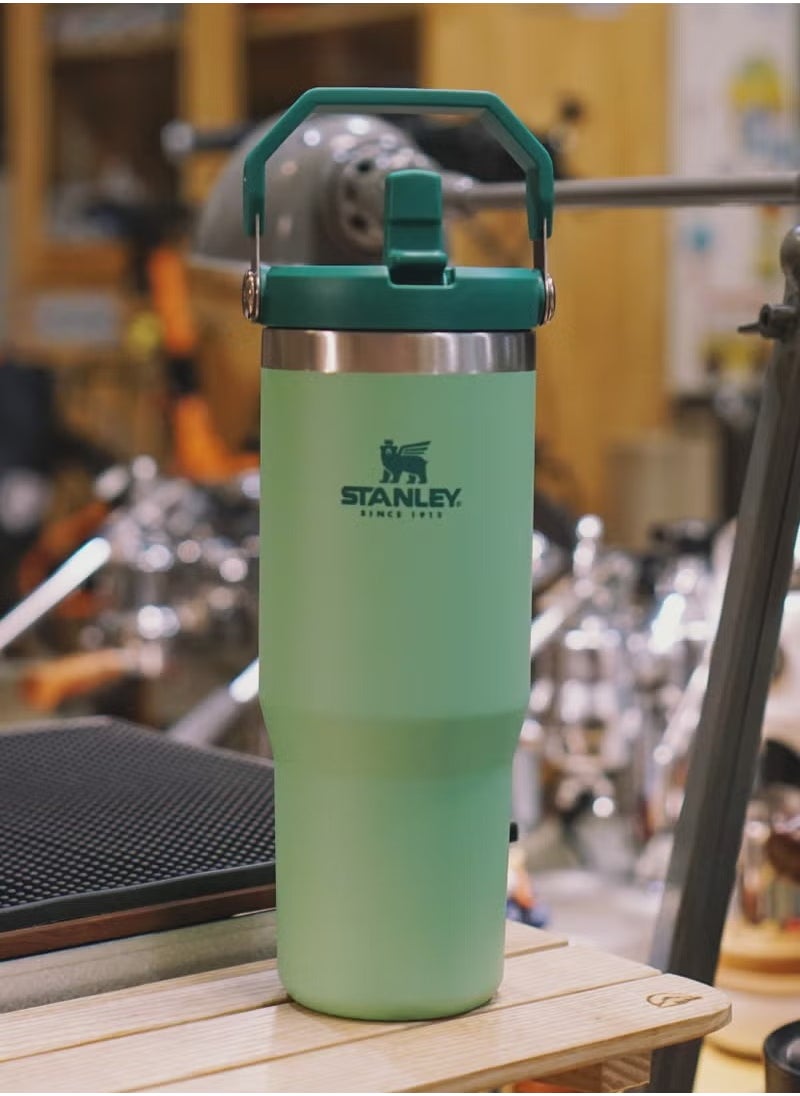 Stainless Steel Vacuum Insulated Tumbler with Lid and Straw for Water, Iced Tea or Coffee, Smoothie and More, 30 oz