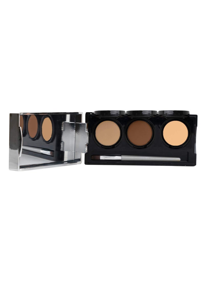 Full Coverage Concealer Palette, Waterproof Concealer Cream, 3 Colors + Brush, by Dermaflage