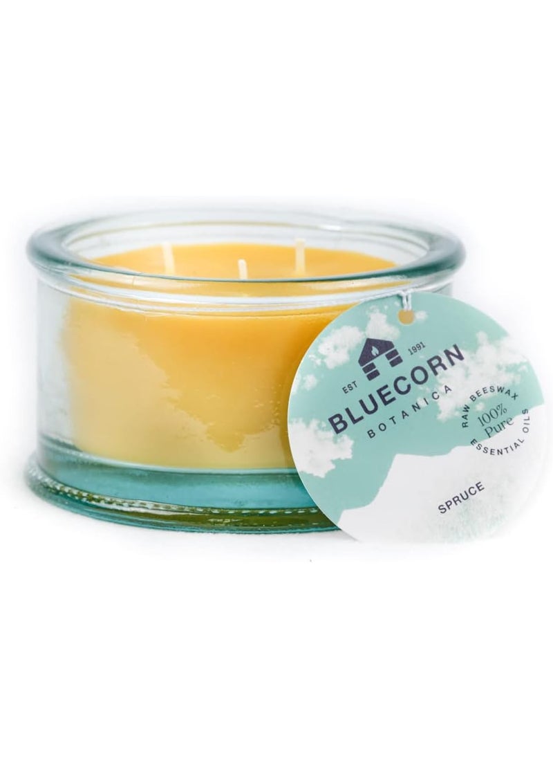 Bluecorn Botanica Beeswax Candle: 3-Wick Scented Candle Made with Pure Beeswax & Spruce Essential Oil