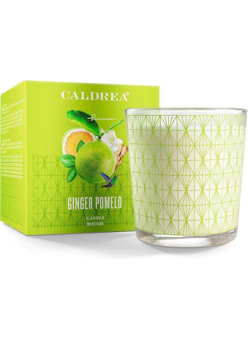 Caldrea Scented Candle, Made with Essential Oils and Other Thoughtfully Chosen Ingredients, 45 Hour Burn Time, Ginger Pomelo Scent, 8.1 oz