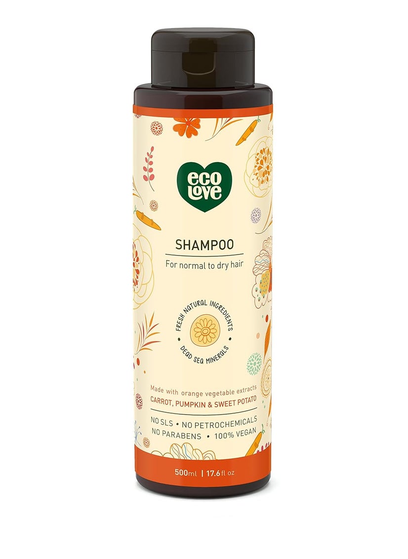ecoLove - Natural Shampoo, Sodium lauryl sulfate Free, Vegan & Cruelty Free Shampoo, Natural Dry Shampoo for Women, Organic Carrot and Pumpkin Shampoo, No SLS or Parabens, 17.6 oz
