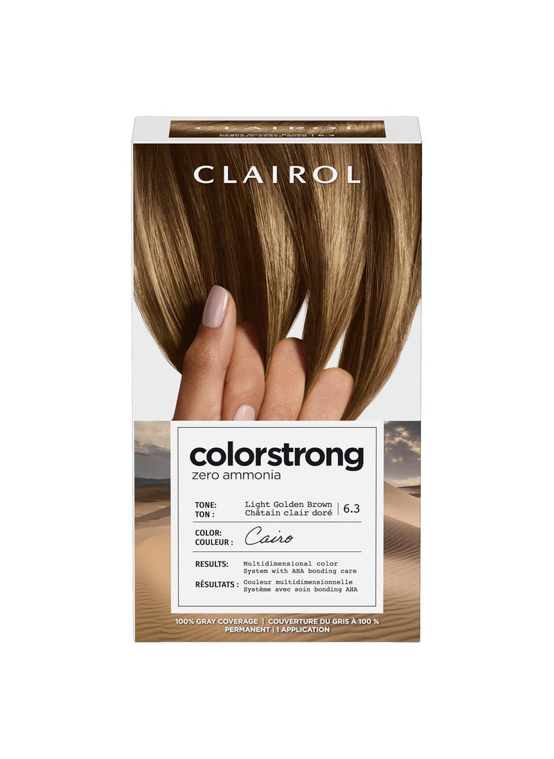 Clairol ColorStrong Permanent Zero Ammonia Hair Dye, 6.3 Light Golden Brown - Cairo Hair Color, Pack of 1