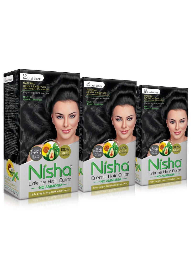 Nisha Creme Hair Color Pack of 3 Natural Black,Beautiful Color Permanent Hair Dye,Long-Lasting High-Definition Color,Shine & Silky Softness, Permanent Hair Color,Ammonia Free, Vegan, Cruelty Free