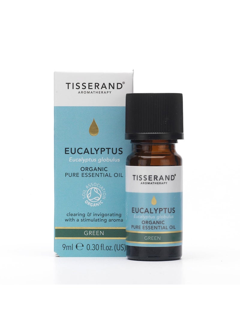 Tisserand Organic Pure Essential Oil - 100 Percent Natural - Essential Oils for Diffusers for Home - Vegan and Cruelty Free - Eucalyptus - 0.3 oz