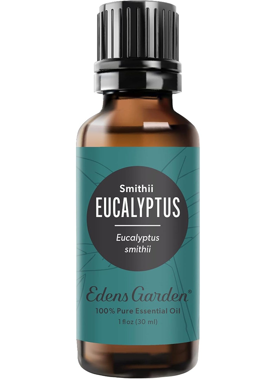 Edens Garden Eucalyptus- Smithii Essential Oil, 100% Pure Therapeutic Grade (Undiluted Natural/Homeopathic Aromatherapy Scented Essential Oil Singles) 30 ml
