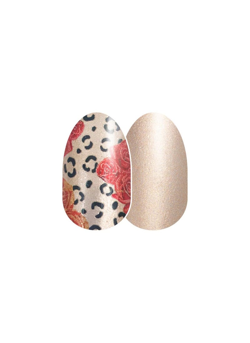 Color Street 'Catitude Problem' (FDS533) - Nail Polish Strips