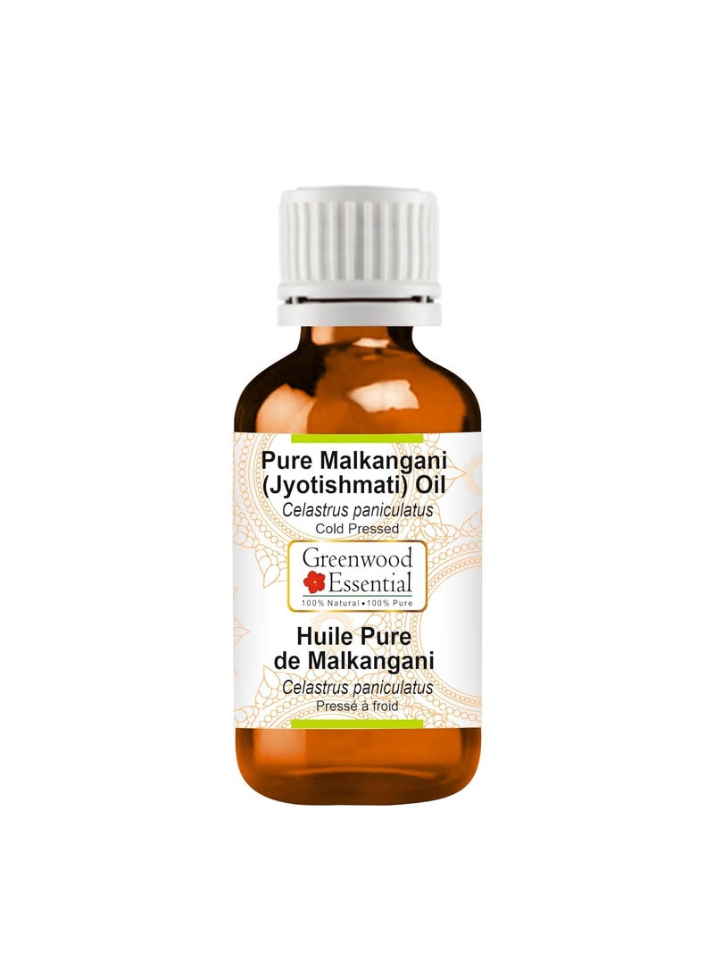 Pure Malkangani (Malkangni/Jyotishmati) Oil (Celastrus paniculatus) Cold Pressed 10ml (0.33 oz)