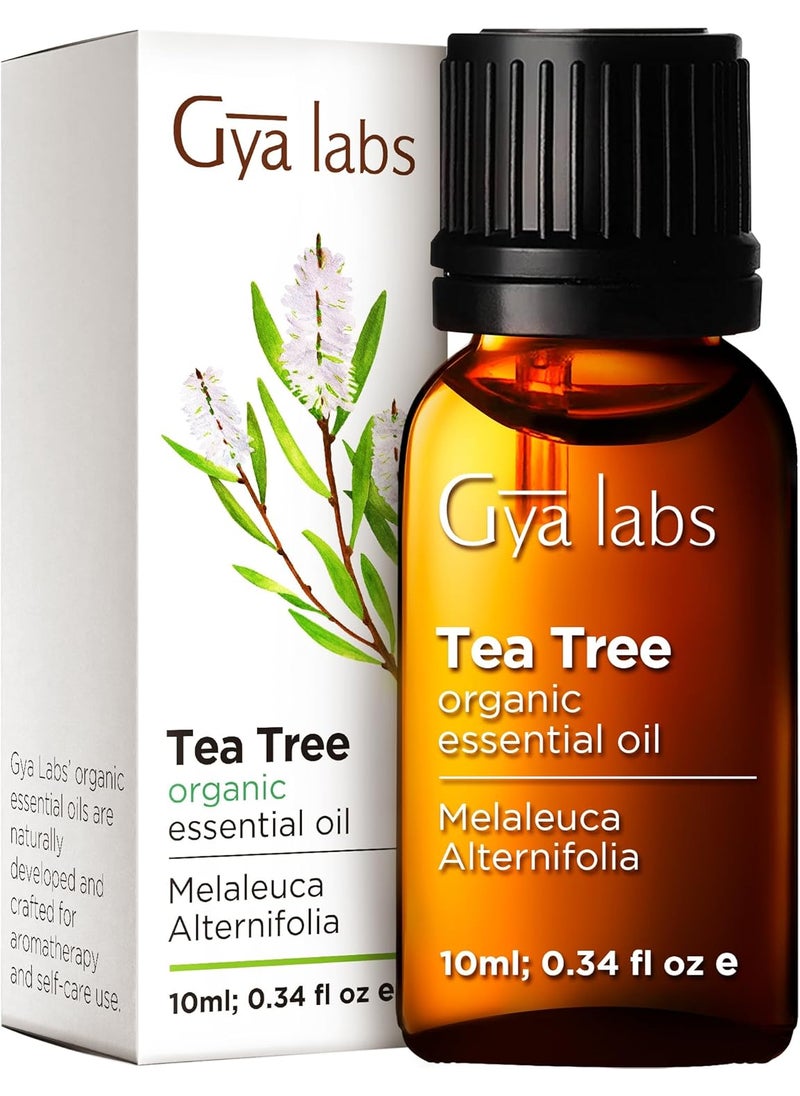 Gya Labs Organic Tea Tree Essential Oil for Hair - 100% Pure Natural Australian Organic Tea Tree Oil for Skin, Face, Toenails, Scalp & Piercings, Refreshing Aromatherapy (0.34 Fl Oz)