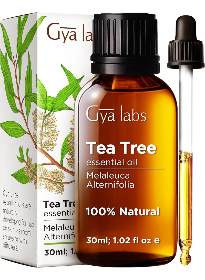 Gya Labs Australian Tea Tree Oil for Skin, Hair, Face & Toenails - 100% Pure Natural Melaleuca Tea Tree Essential Oil for Piercings, Scalp, Hair & Candle Making (1.02 Fl Oz)