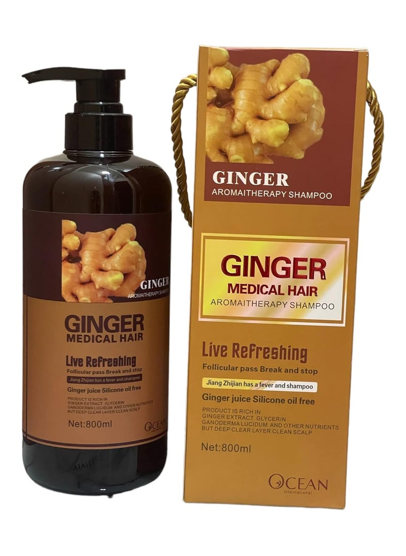 GINGER MEDICAL HAIR SHAMPOO, Promotes Hair Strength & Thickness with increased volume & reducing breakage (800 ML) WITH HERBAL INGREDIENTS (Shampoo), 27.0 Fl Oz, 1