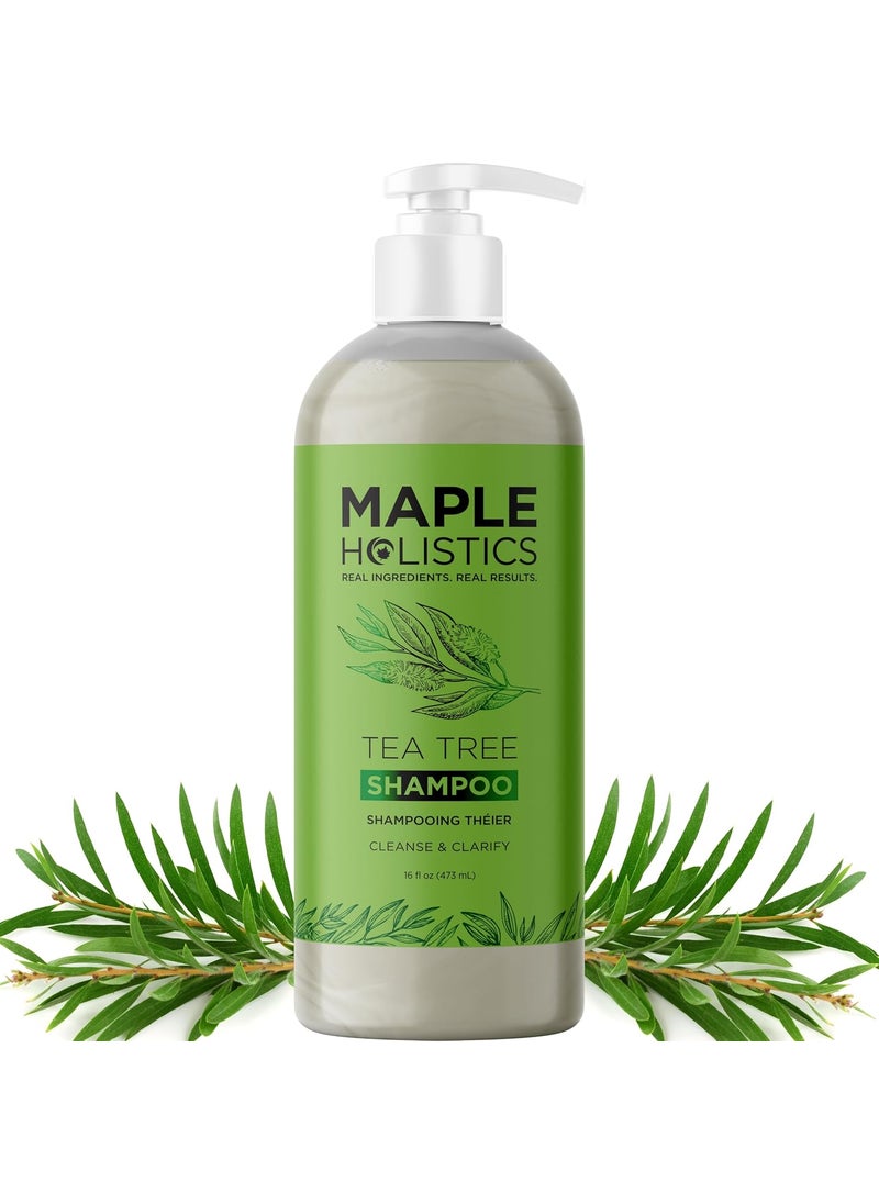 Clarifying Shampoo for Build Up & Oily Hair - Tea Tree Shampoo for Men and Women with Rosemary Essential Oil for Oily Hair and Scalp - Color Safe Vegan Sulfate Silicone & Paraben Free (16 Fl Oz)