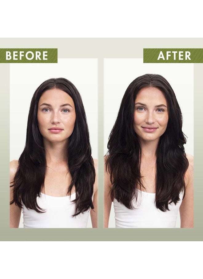 Dry Shampoo Powder With Oat Milk - Eco Friendly Non-Aerosol Formula - Gentle Formula Instantly Revives Hair - Paraben & Sulfate-Free - 1.7 Oz