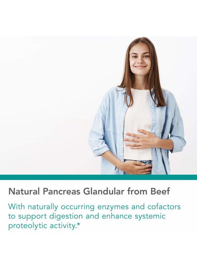 Pancreas Lamb Supplement - Pancreas Natural Glandular, Pancreatic Enzymes, Digestive Enzymes for Pancreas, Amylase, Protease, Lipase, Hypoallergenic 425mg - 60 Count
