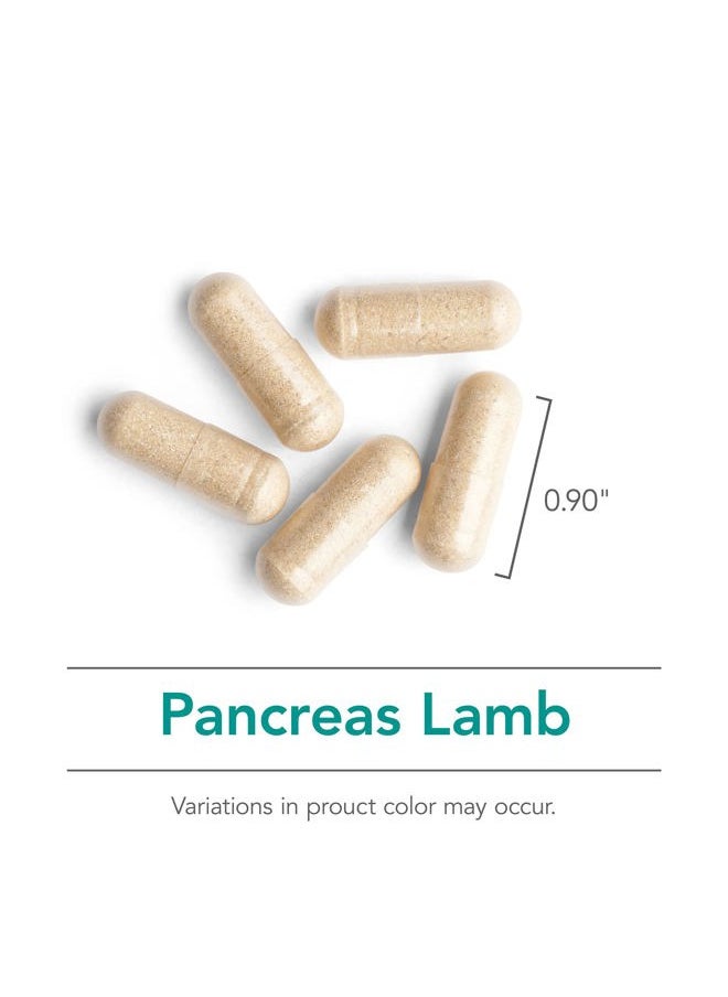 Pancreas Lamb Supplement - Pancreas Natural Glandular, Pancreatic Enzymes, Digestive Enzymes for Pancreas, Amylase, Protease, Lipase, Hypoallergenic 425mg - 60 Count