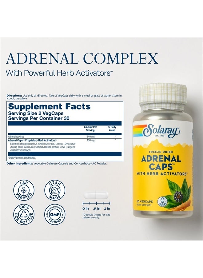 Adrenal Caps, Freeze-Dried - Wellness Support Adrenal Cocktail with Herb Activators Eleuthero, Gotu Kola, Licorice and Clove - Lab Verified, 60-Day Guarantee - 30 Servings, 60 VegCaps