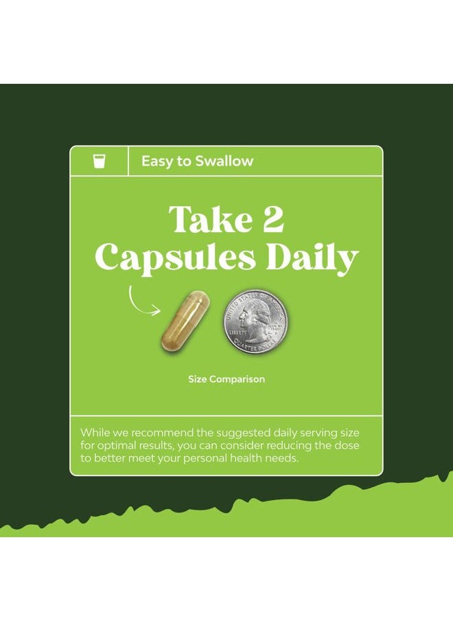 Liver Support Milk Thistle Supplement for Liver Cleanse Detox & Repair - Advanced Milk Thistle and Dandelion Root Supplement with Choline, Beetroot & Artichoke Extract - 60 Pills