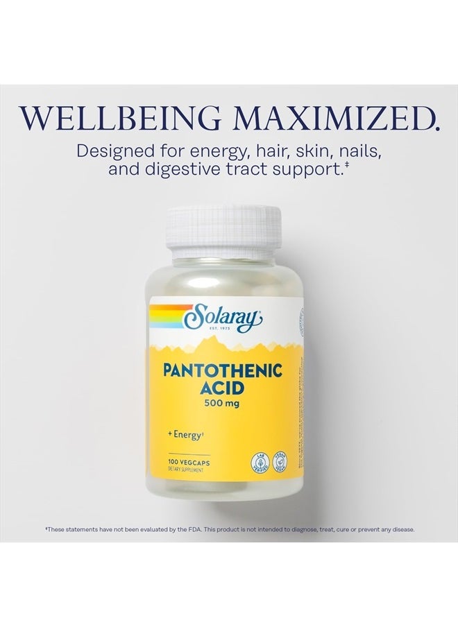 Solaray Pantothenic Acid 500mg - Vitamin B 5 for Coenzyme-A Production and Energy Metabolism, Hair, Skin, and Nails Support - Vegan, Lab Verified, 60-Day Guarantee - 100 Servings, 100 VegCaps