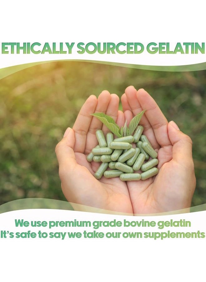 Size 4 Empty Capsules - 100 Count Small Clear Empty Gelatin Capsules - Empty Pill Capsules - DIY Capsule Filling - Bovine Pill Capsules Empty Gel Caps