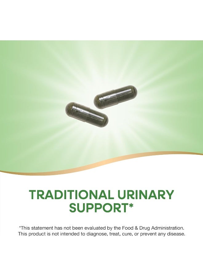 Nettle Leaf, 870 mg - 100 Vegan Capsules Packaging May Vary