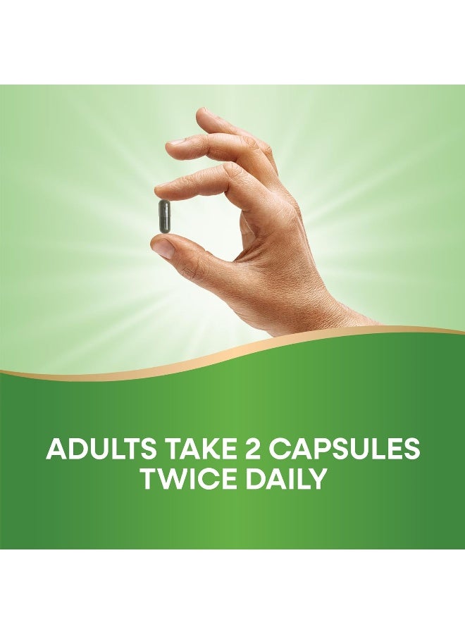 Nettle Leaf, 870 mg - 100 Vegan Capsules Packaging May Vary