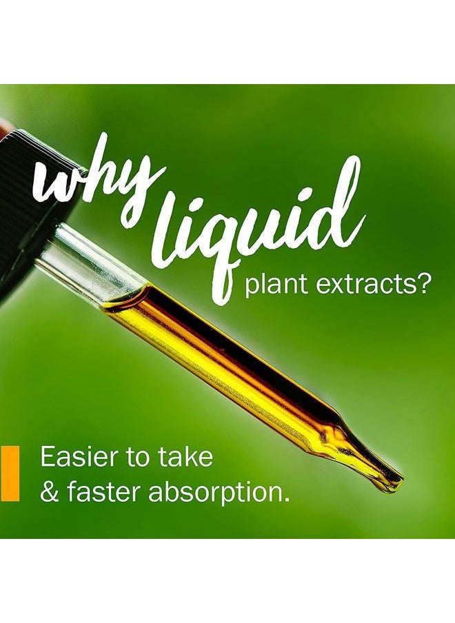 Certified Organic Spilanthes Liquid Extract for Cleansing and Detoxification - 4 Ounce