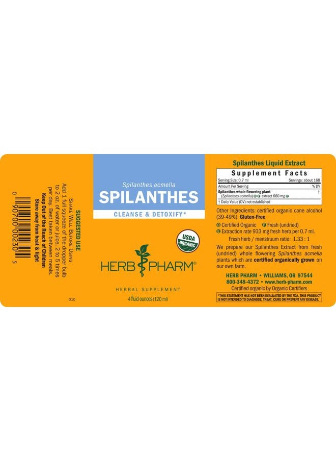 Certified Organic Spilanthes Liquid Extract for Cleansing and Detoxification - 4 Ounce