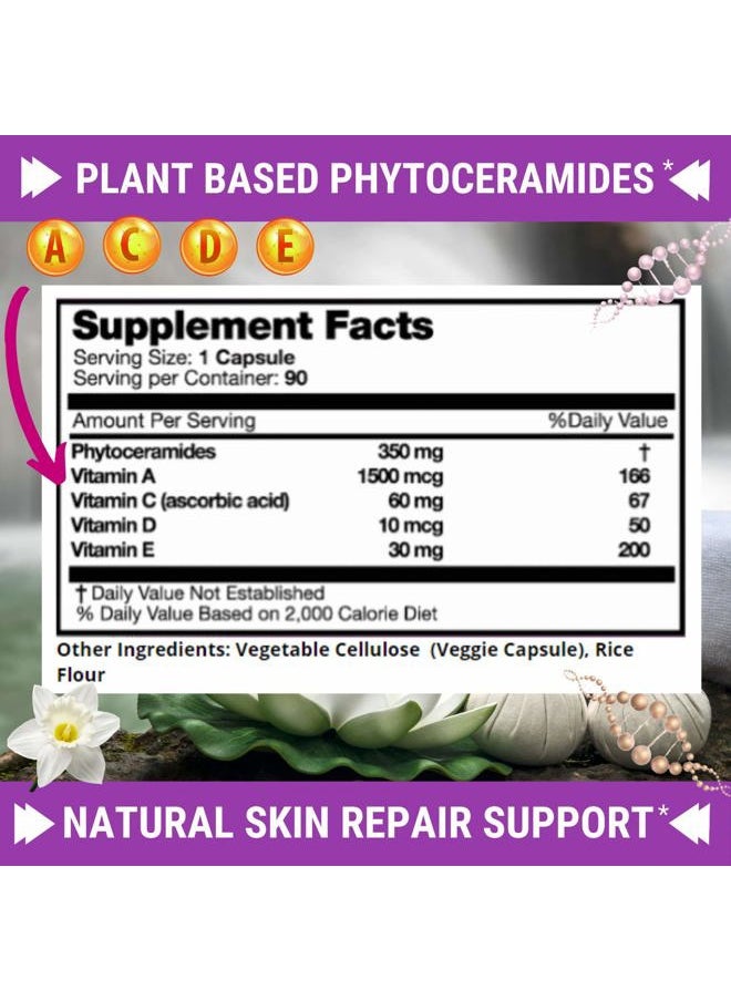 Phytoceramides - 3 Month Supply - Plus Skin Vitamins A,C,D & E for Skin Repair & Rejuvenation - Anti Aging Powerhouse for Reduced Fine Lines & Wrinkles by Fresh Healthcare