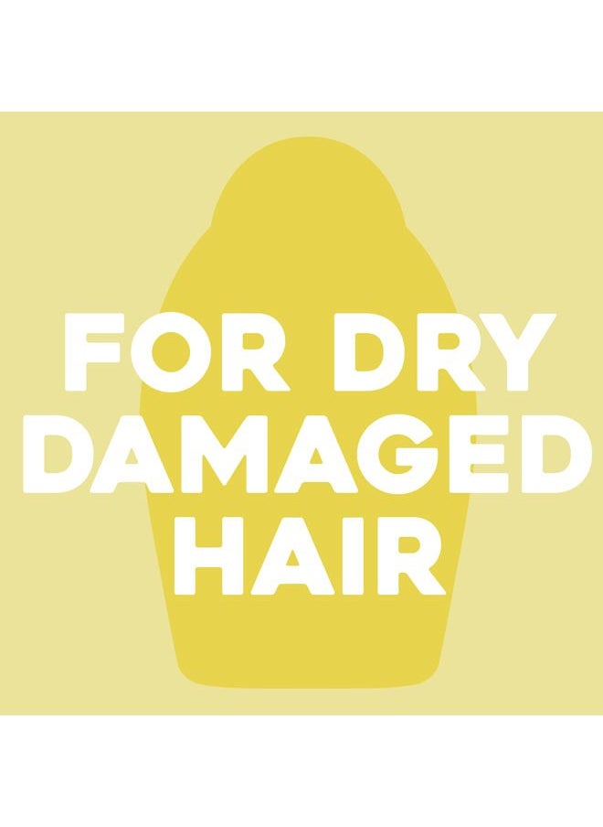 Hydrate & Defrizz + Kukui Oil Anti-Frizz Hydrating Oil, 4 Ounce