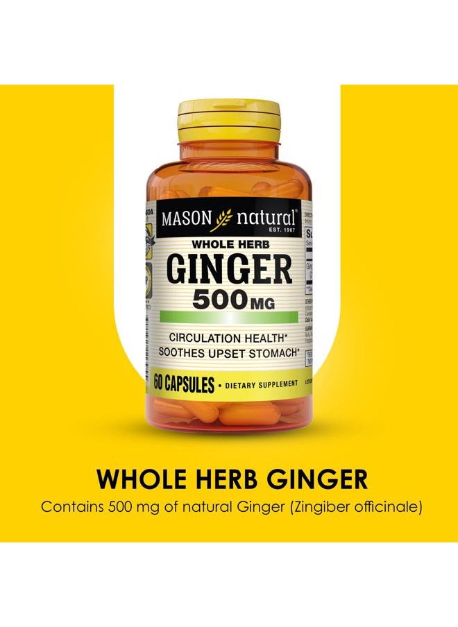 Whole Herb Ginger 500 mg, 2 Month Supply, Natural Herbal Supplement, 60 Capsules