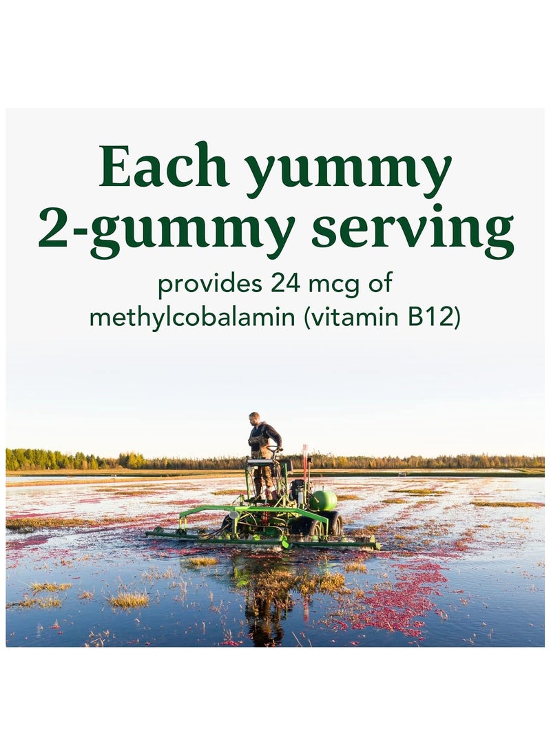 MegaFood Vitamin B12 Energy SUPPORTS CELLULAR ENERGY METABOLISM, DIETARY SUPPLEMENT, 70 GUMMIES / 35 SERVINGS- CRABERRY