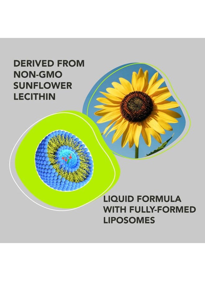 Liposomal Glutathione Supplement. Liquid Reduced Setria 500mg. Immune Support, Brain Health, Liver Detox, Skin Health. Phosphatidylcholine from Non-GMO Sunflower Lecithin. Soy-Free & Vegan.