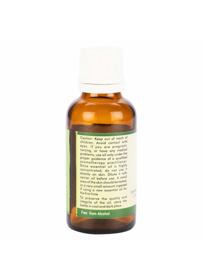Mandarin Essential Oil | Citrus Reticulata | Mandarin Oil | for Diffuser | Pure Mandarin Oil | 100% Pure Natural | Steam Distilled | Therapeutic Grade | 30ml | 1.01oz by R V Essential