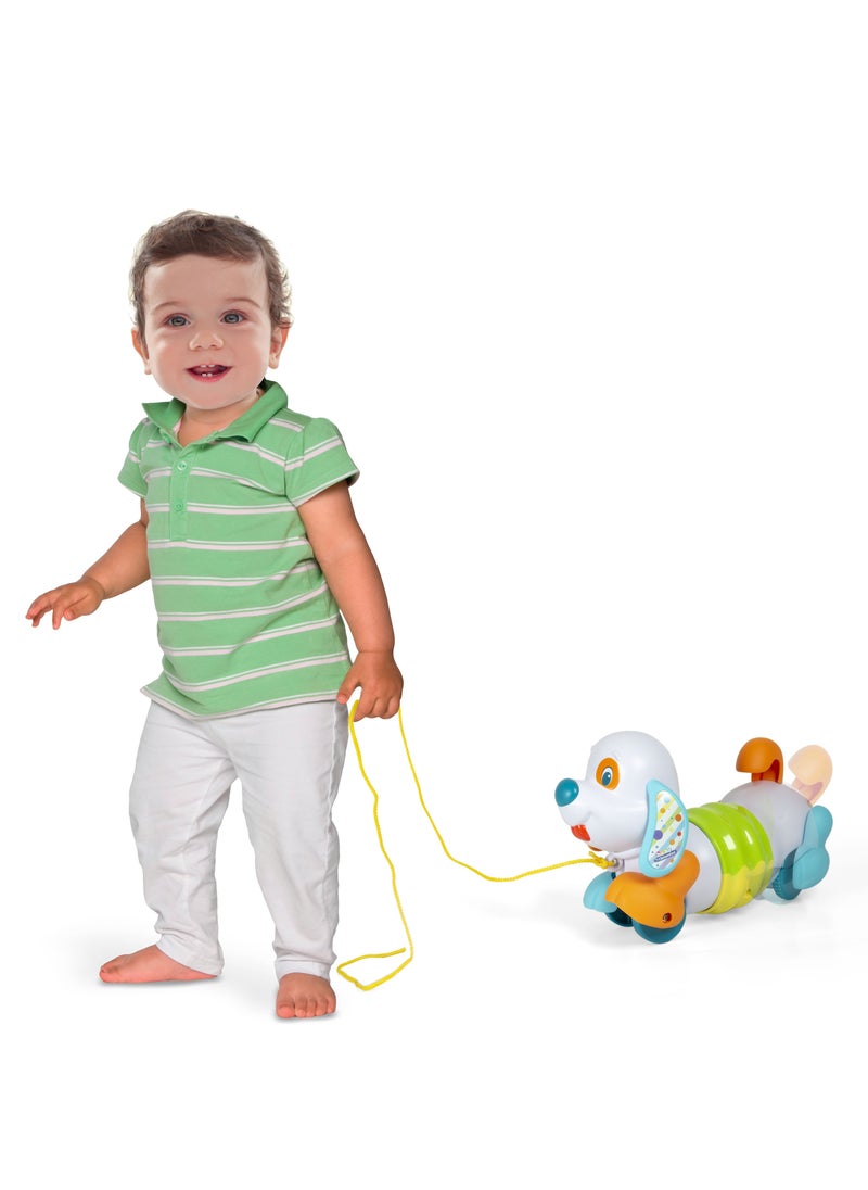 Clementoni Pull Along Dog for Baby Toddlers | Interactive Toy for Baby and Toddler | Helps with Motor Skill Development | Bright Colors | Early Development Toy | Perfect Gift for Baby and Toddler