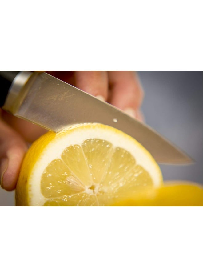 Ice Force Paring Knife | 9 Cm | Kitchen Knife Silver/Black 9cm