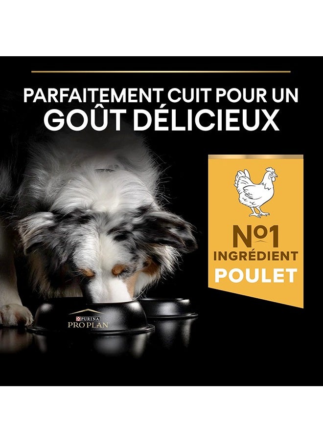 Pro Plan Medium Adult Dog Food Chicken - 14 KG
