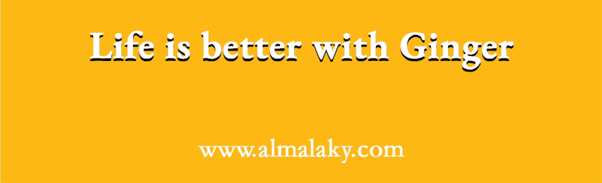 Ginger Shot With Lemon And Honey 30ml Pack Of 16