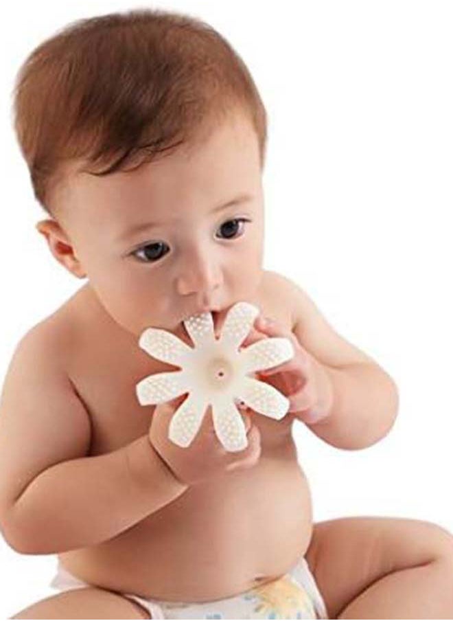 Octopus Teether Toy | Multi-Textured Silicone Teething Aid | Freezer-Friendly | Whistle Sound | Safe for 3-6 Months | Product Dimensions: 9.2 x 9.2 x 9.2 cm