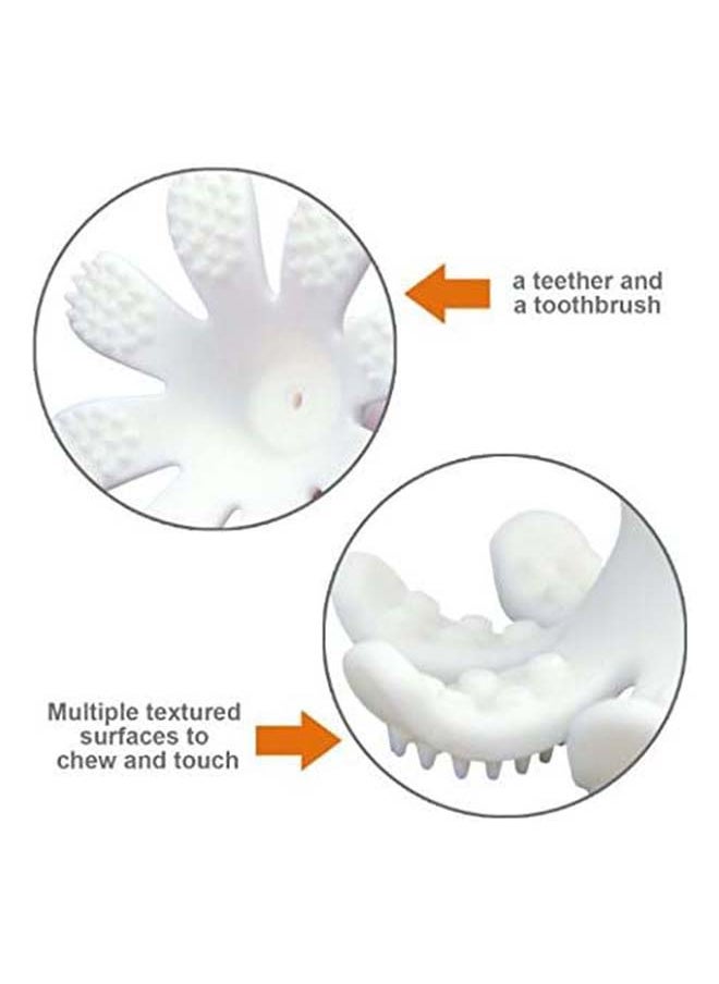 Octopus Teether Toy | Multi-Textured Silicone Teething Aid | Freezer-Friendly | Whistle Sound | Safe for 3-6 Months | Product Dimensions: 9.2 x 9.2 x 9.2 cm