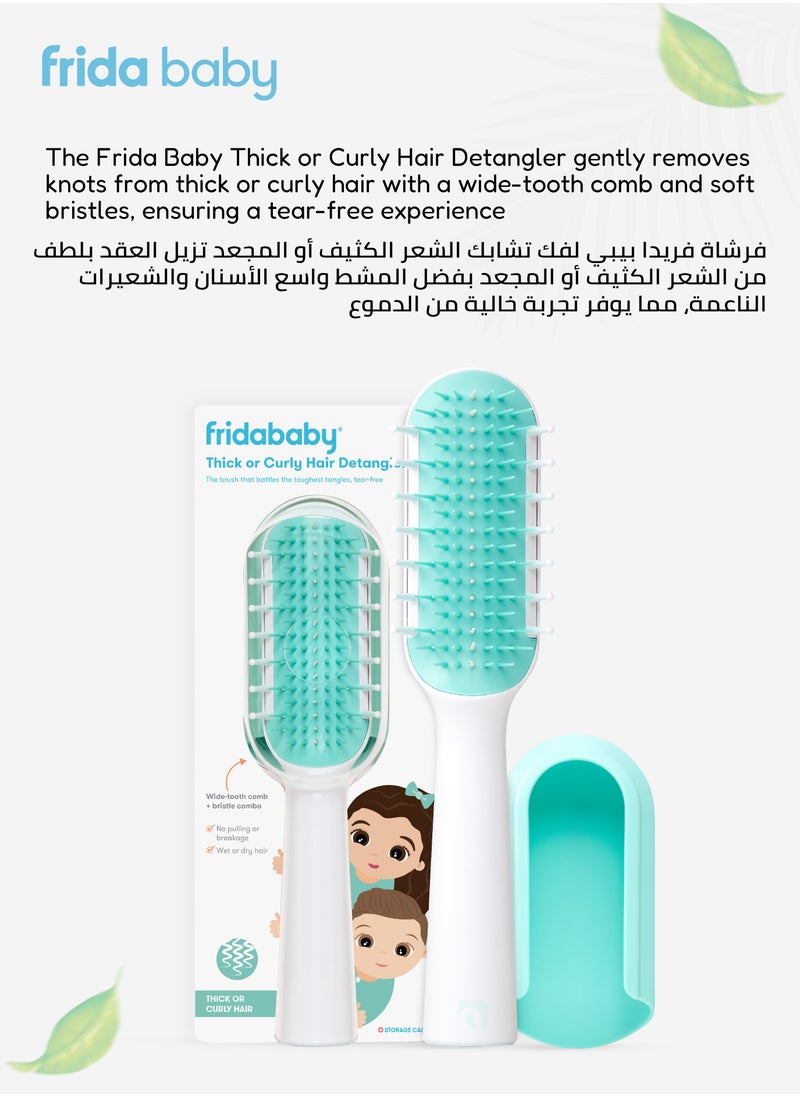 Thick & Curly Hair Detangler Brush | Gentle Wide-Tooth Comb & Bristle Combo | No Pulling or Breakage | Wet & Dry Use | Ergonomic Handle with Protective Case