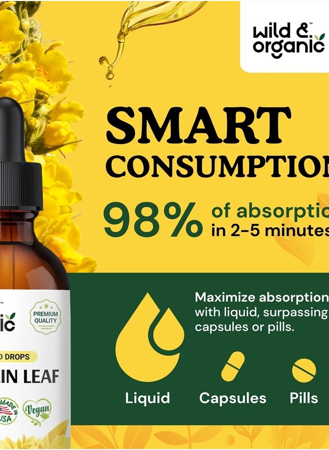 Liquid Drops Mullein Leaf, 2 fl. oz
