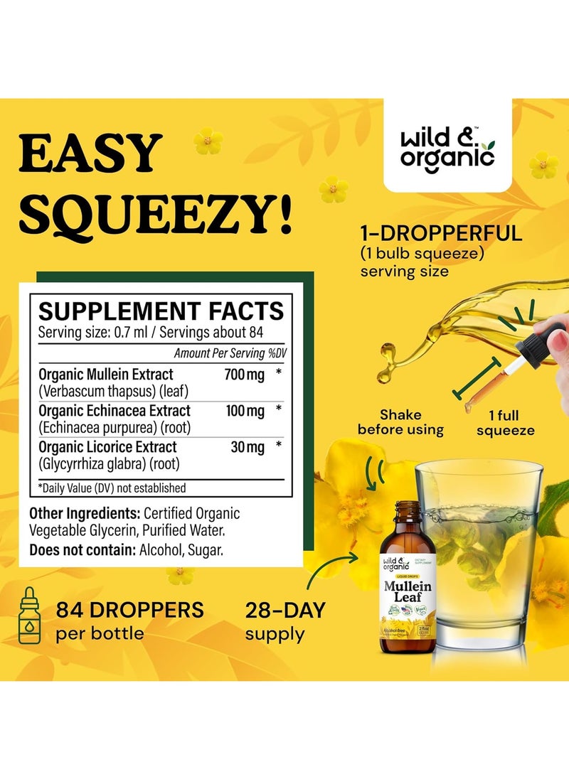Liquid Drops Mullein Leaf, 2 fl. oz