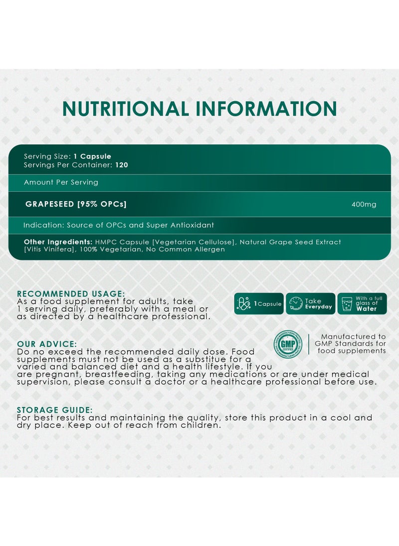 Ambrosial Grape Seed Extract Capsules 95% OPCs Polyphenols High Strength Grape Seed Supplement Strong Antioxidant Pack of 1-120 Vegan Capsules