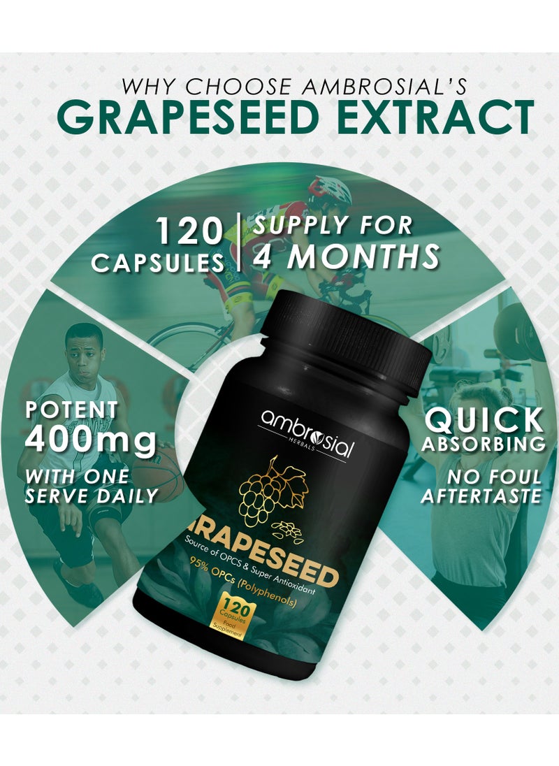 Ambrosial Grape Seed Extract Capsules 95% OPCs Polyphenols High Strength Grape Seed Supplement Strong Antioxidant Pack of 1-120 Vegan Capsules