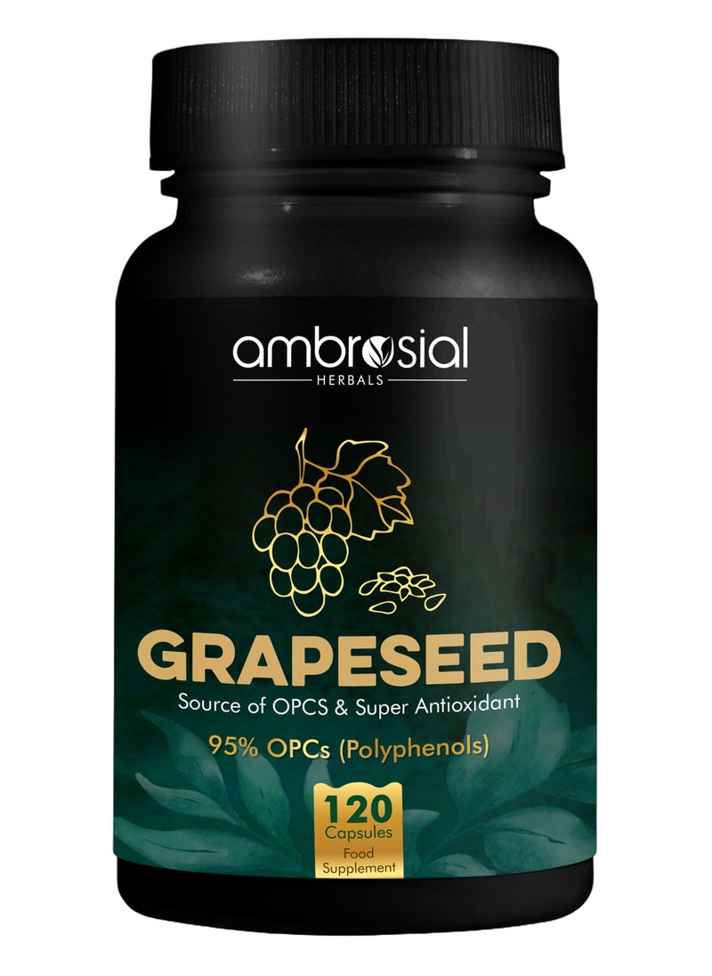 Ambrosial Grape Seed Extract Capsules 95% OPCs Polyphenols High Strength Grape Seed Supplement Strong Antioxidant Pack of 1-120 Vegan Capsules