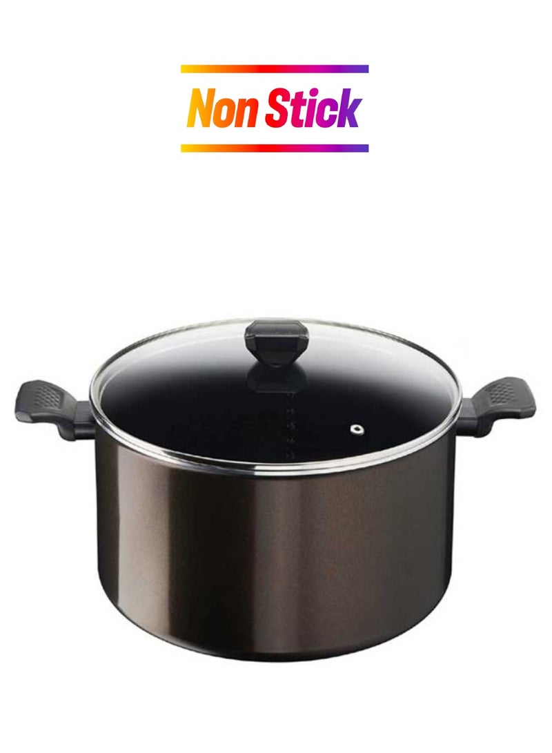 Tefal Easy Cook And Clean Stewpot 30cm + Glass Lid / B5546902 Dark Stone 30cm