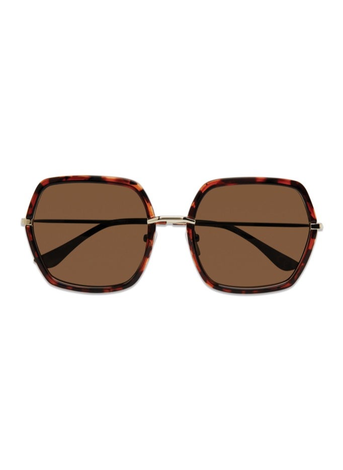 Shape Sunglasses
