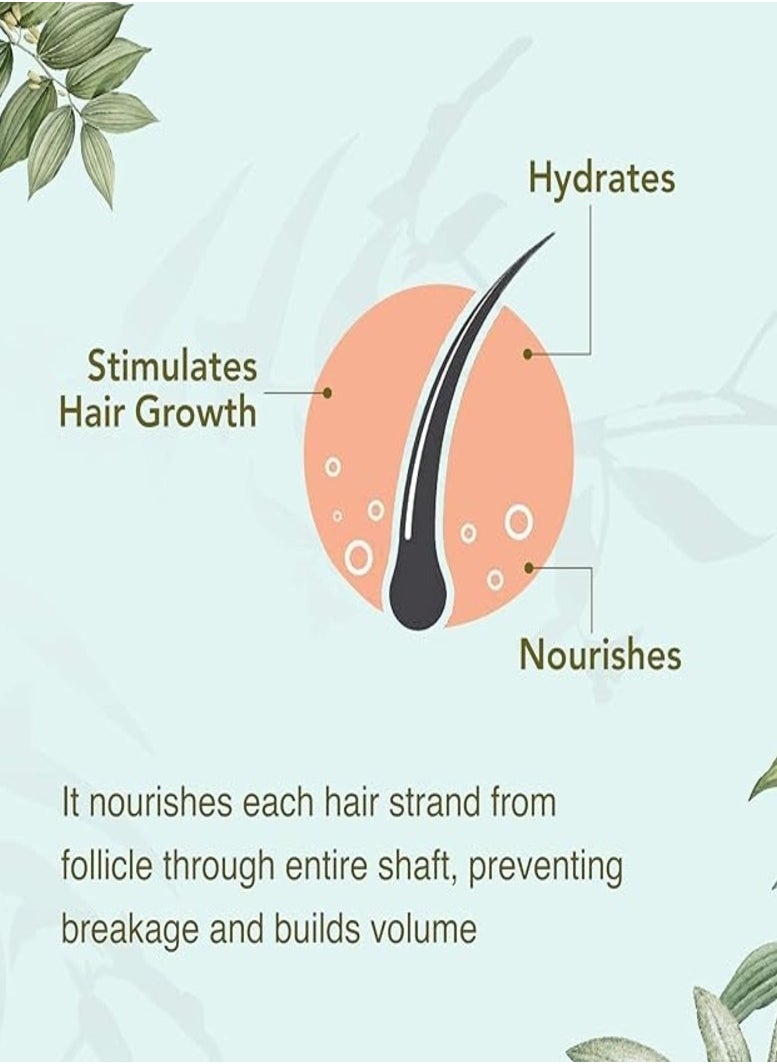 Rosemary Luxury Liquid Shampoo - Organic & Natural Hair Care, Sulfate & Paraben Free, Helps Hair Growth, Prevents Hair Loss, Nourishes Hair
