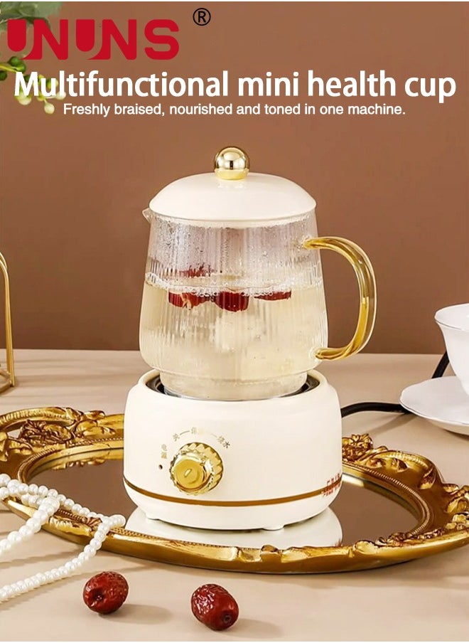 Small Electric Kettle,Automatic Heat Preservation,Glass Portable Kettle Temperature Control,High Borosilicate Glass,600ML Capacity for Your Office or Kitchen,White