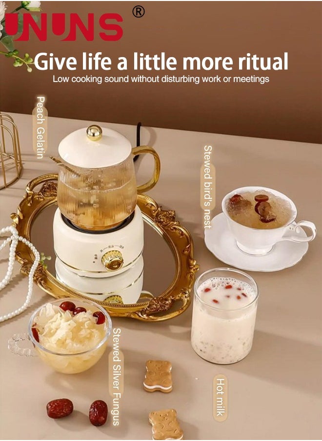 Small Electric Kettle,Automatic Heat Preservation,Glass Portable Kettle Temperature Control,High Borosilicate Glass,600ML Capacity for Your Office or Kitchen,White